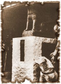 �����̃n�`���ƃn�`��