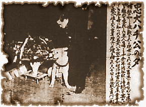 �����n�`���̗[