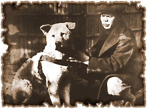 ���ыe�O�Y����ƃn�`